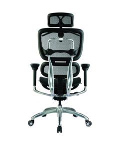 Executive Black Mesh Ergonomic Office Chair with Headrest