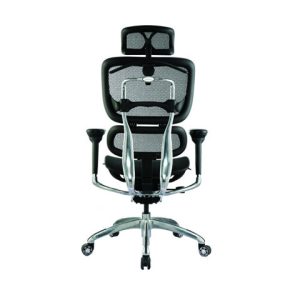 Executive Black Mesh Ergonomic Office Chair with Headrest