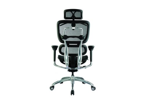 Executive Black Mesh Ergonomic Office Chair with Headrest