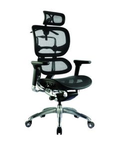 Executive Black Mesh Ergonomic Office Chair with Headrest