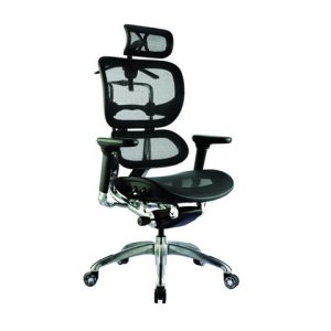 Executive Black Mesh Ergonomic Office Chair with Headrest