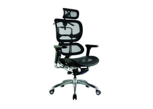 Executive Black Mesh Ergonomic Office Chair with Headrest