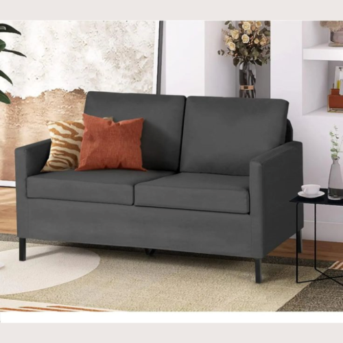 Fabric Modern Small Sofa 2-Seater w/Iron Legs for Small Space - Light Grey