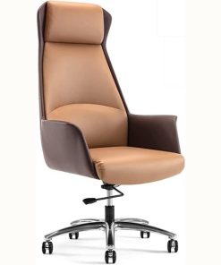 Ergonomic Office Chair with Headrest